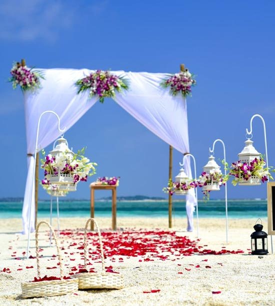 Wedding Vendors, Wedding Photographers, Makeup Artists, Wedding Venues Listing Category Other Decorations